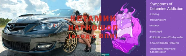сатива Тавда