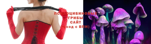 винт Белокуриха
